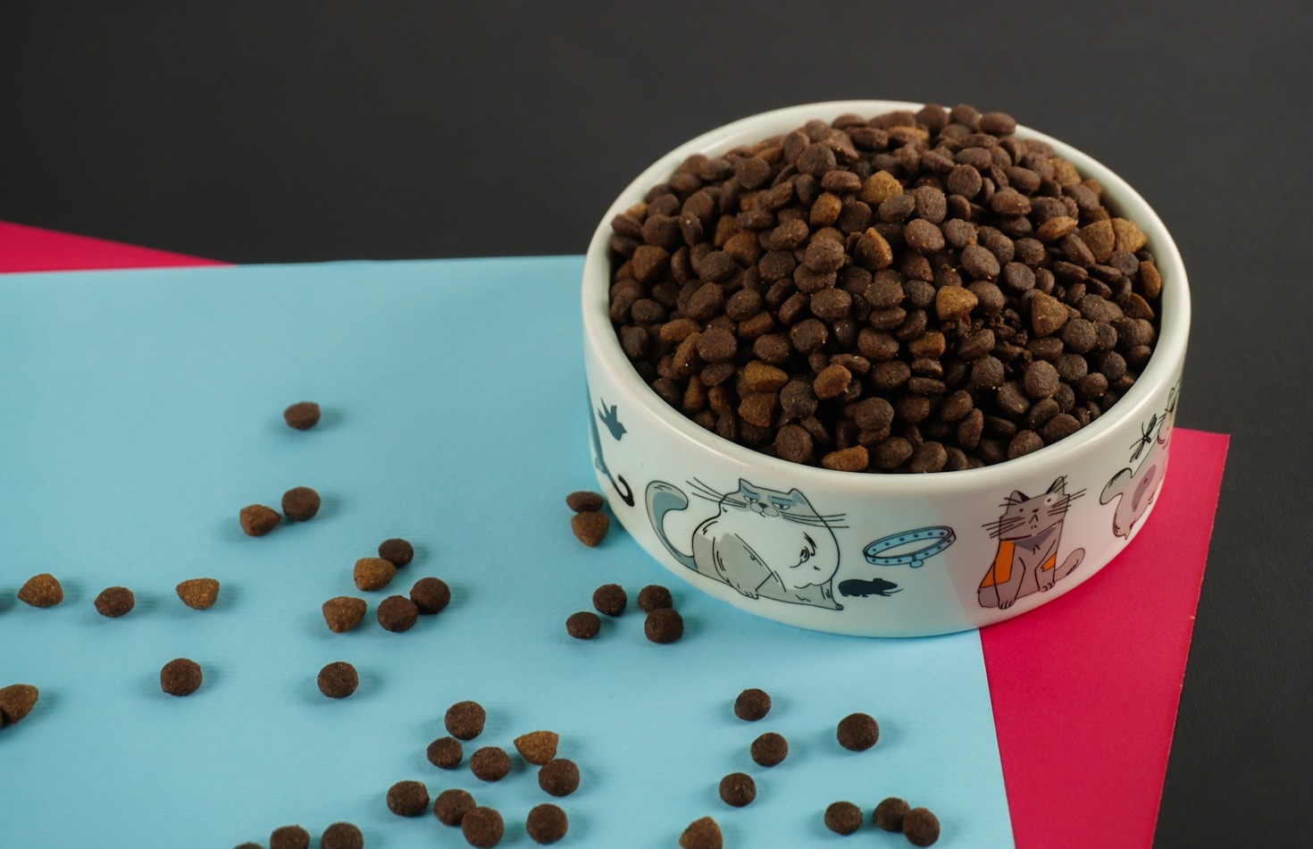 Lemmikloomade hügieen: praktilised nõuanded